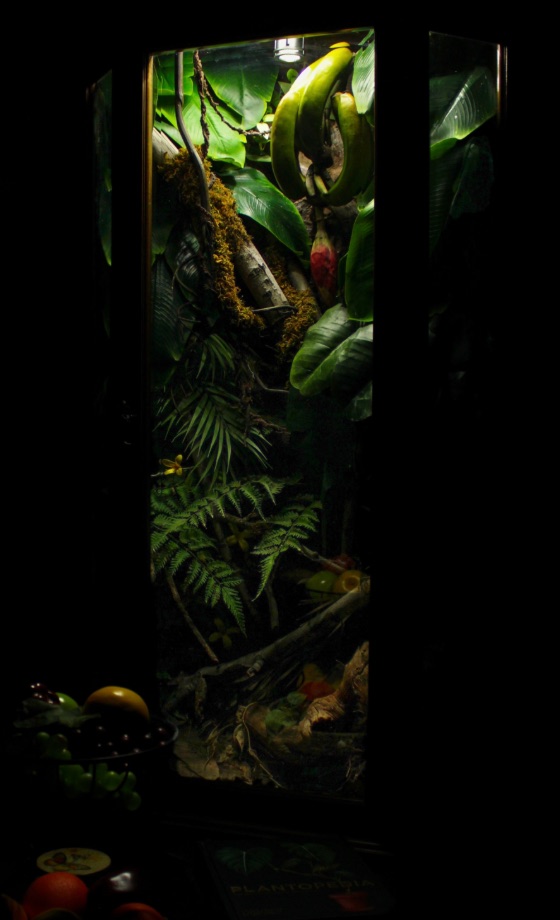 Tall vivarium with tropical plants beside a fruit bowl